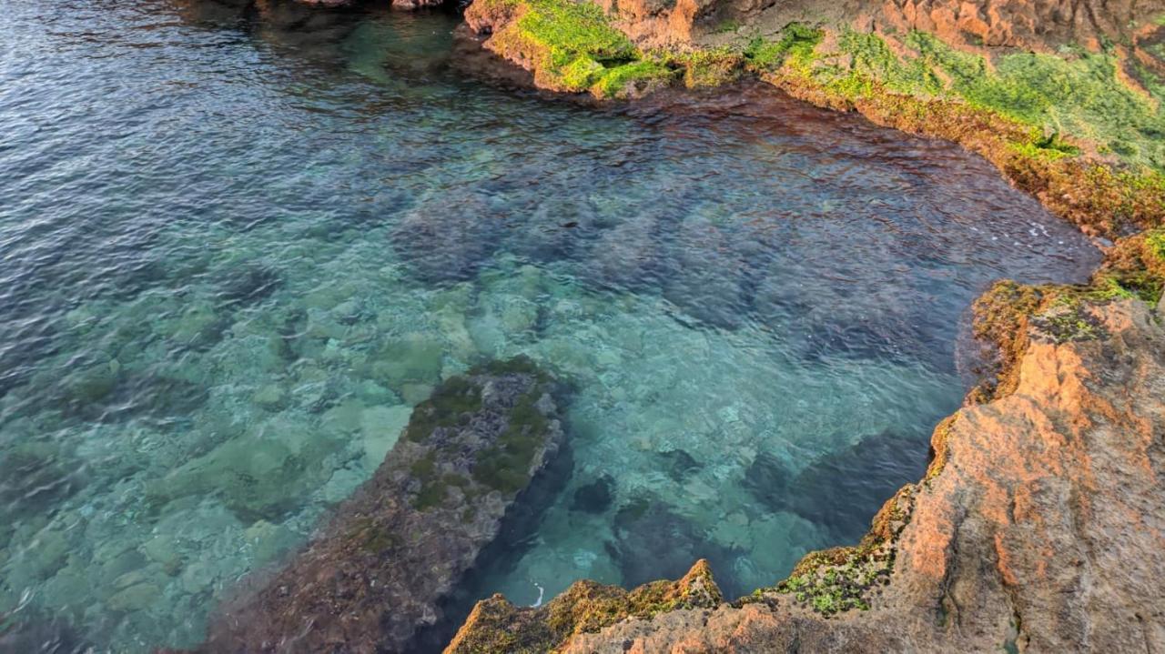 100 Mt Playa De Los Locos Torrevieja Kültér fotó